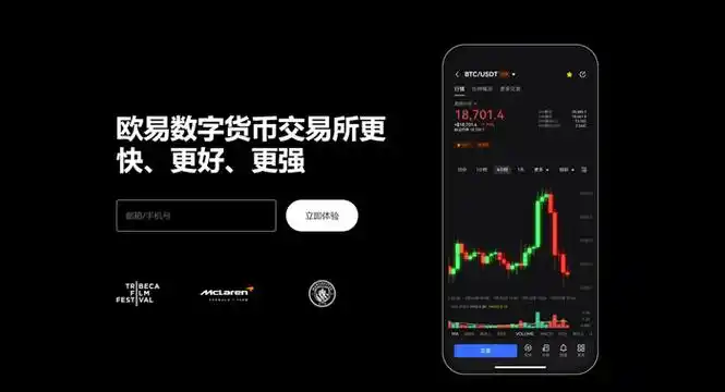 欧yi钱包平台展示图